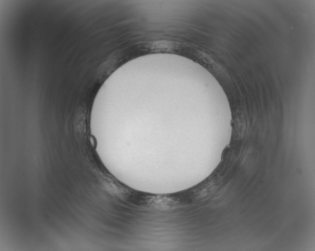 X0000075370379200610061819