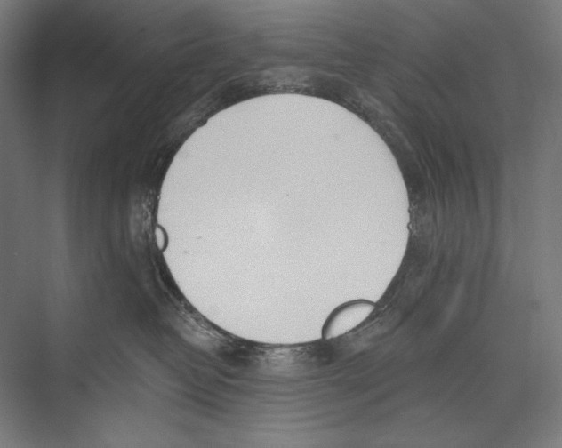 X0000075370382200610061819