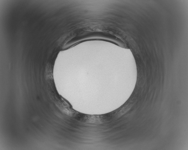 X0000075370384200610061819