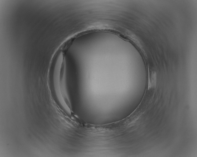 X0000075370387200610061818