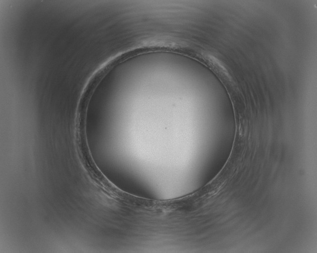 X0000075370388200610061818