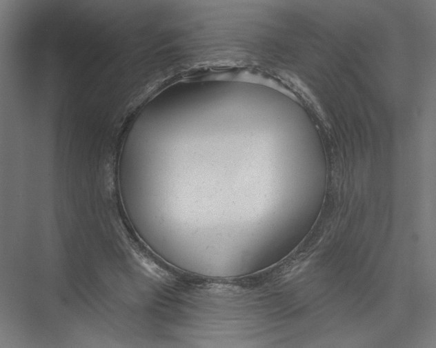 X0000075370393200610061818