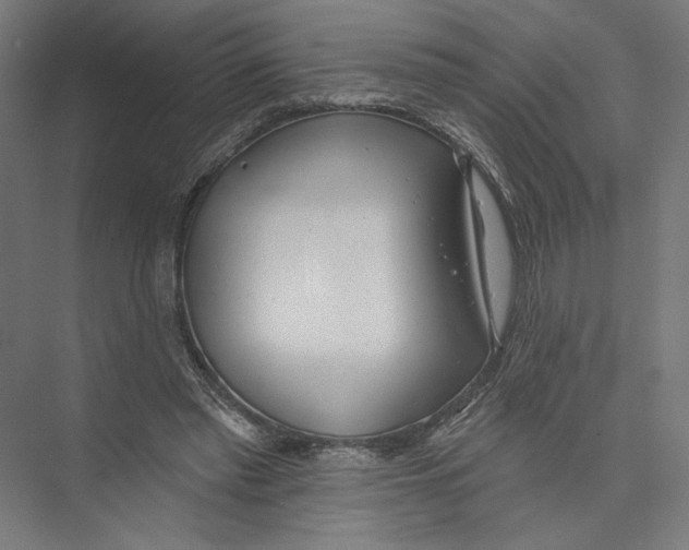 X0000075370397200610061818