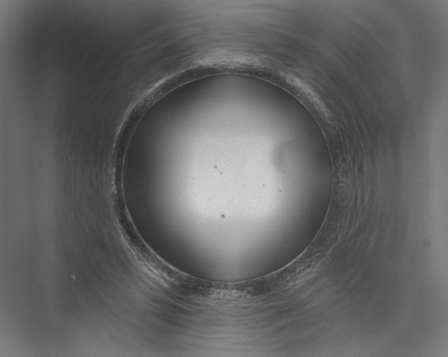 X0000075370399200610061818