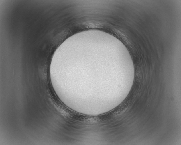 X0000075370402200610061818
