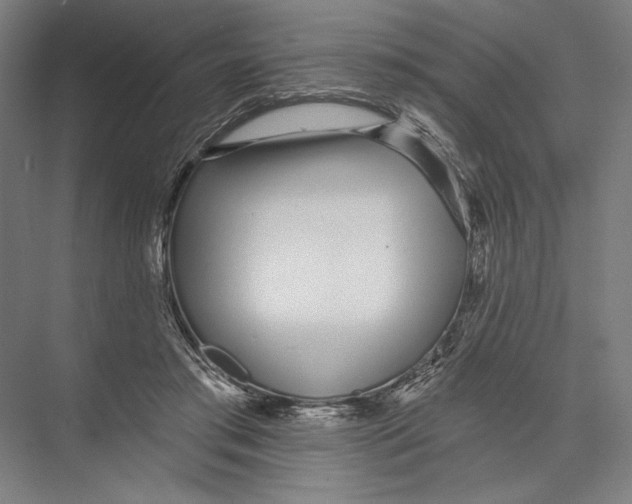 X0000075370405200610061818