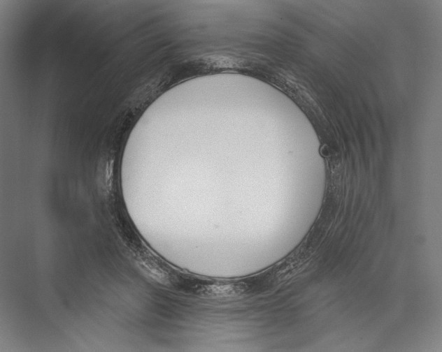 X0000075370406200610061818