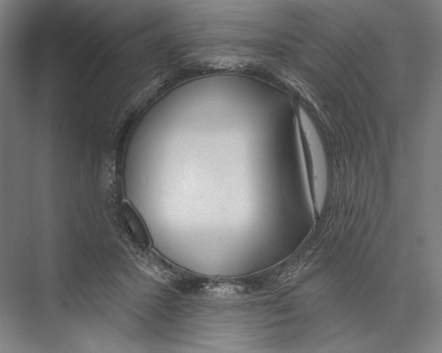 X0000075370407200610061818