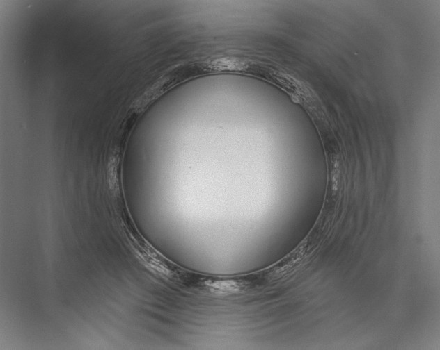 X0000075370409200610061818