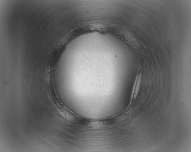 X0000075370413200610061818