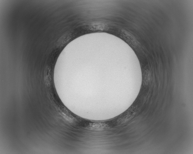 X0000075370414200610061818
