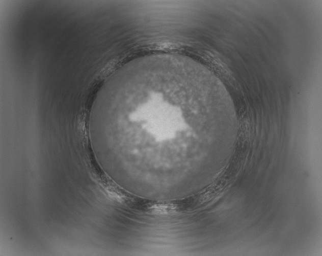 X0000075370415200610061818