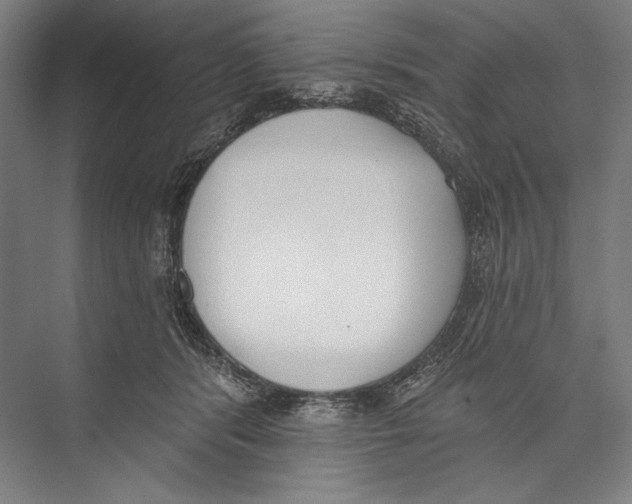 X0000075370416200610061818