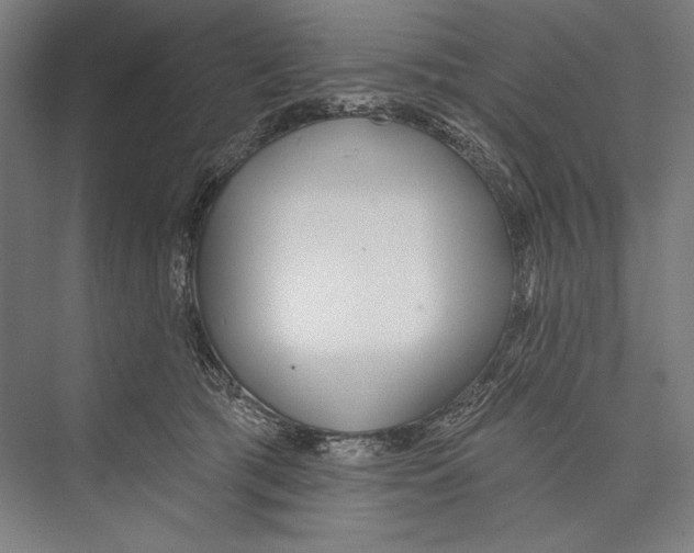 X0000075370417200610061818