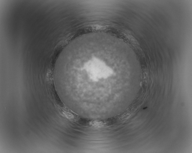 X0000075370419200610061818