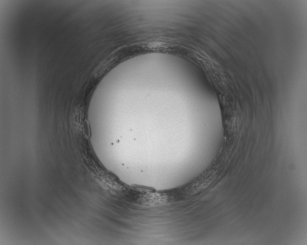 X0000075370421200610061818