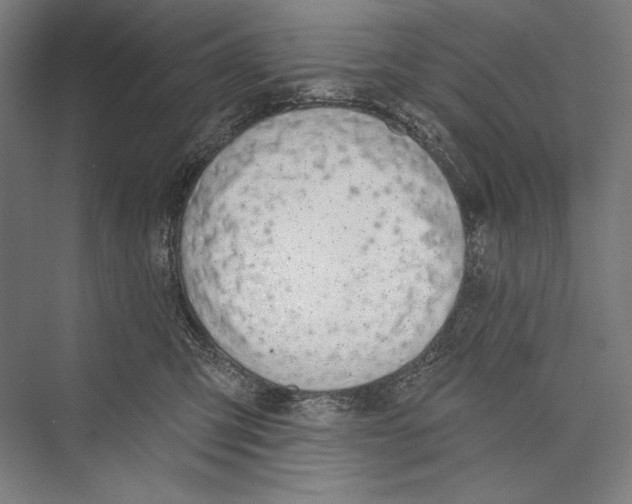 X0000075370423200610061818