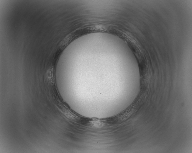 X0000075370425200610061818