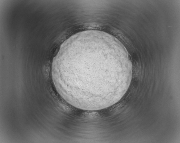 X0000075370427200610061818