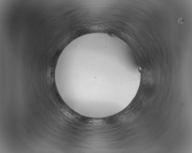X0000075370428200610061817