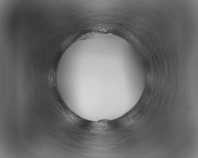 X0000075370429200610061817