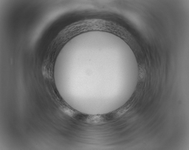 X0000075370431200610061817