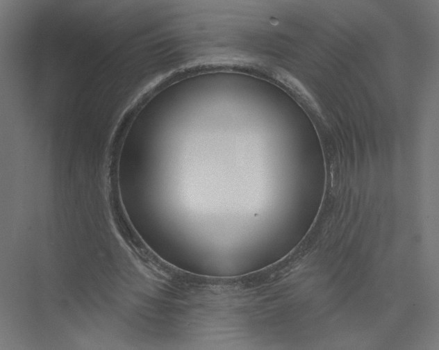 X0000075370436200610061817