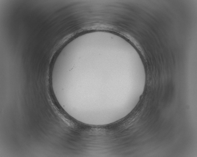 X0000075370437200610061817