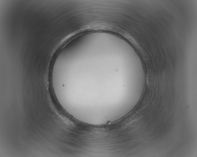 X0000075370438200610061817