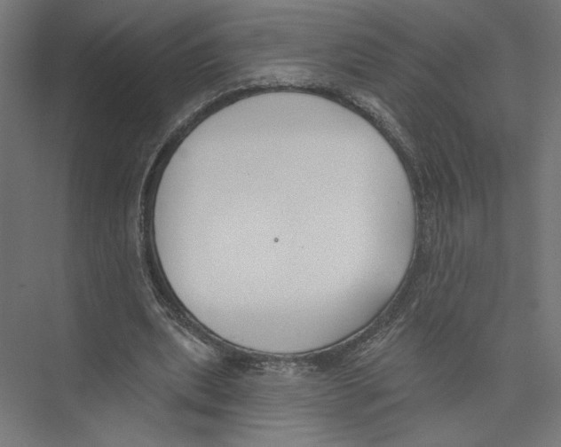 X0000075370439200610061817