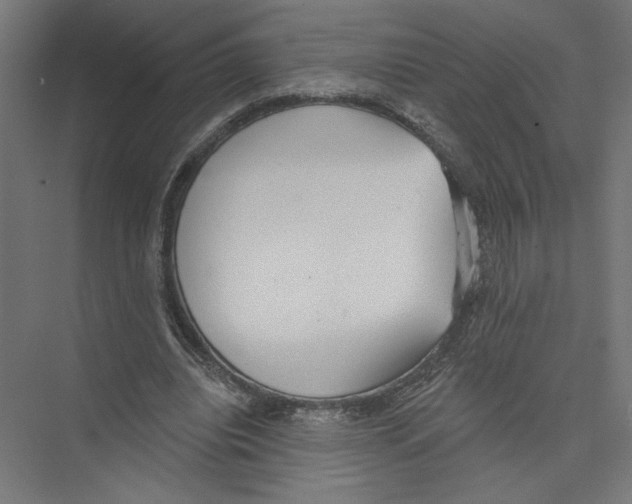 X0000075370440200610061817