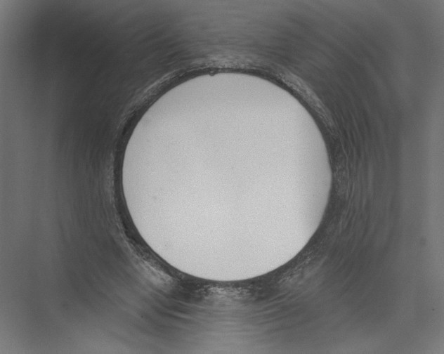 X0000075370442200610061817