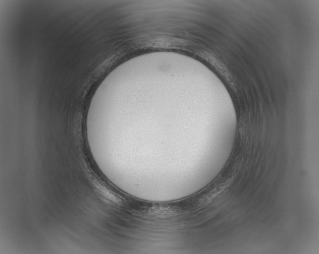 X0000075370445200610061817