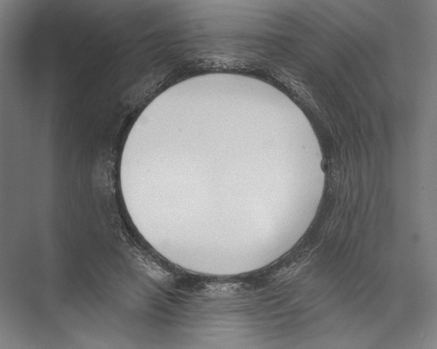 X0000075370450200610061817