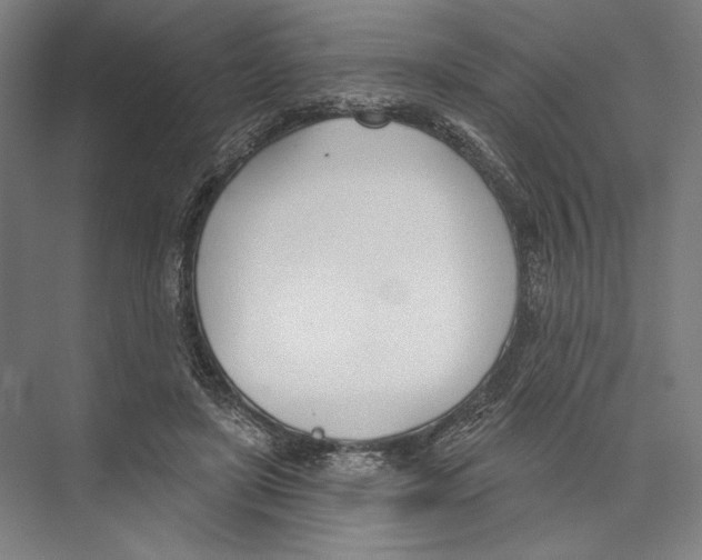 X0000075370451200610061817