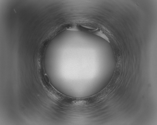 X0000075370452200610061817