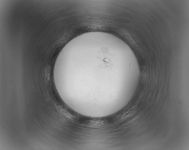X0000075370458200610061817