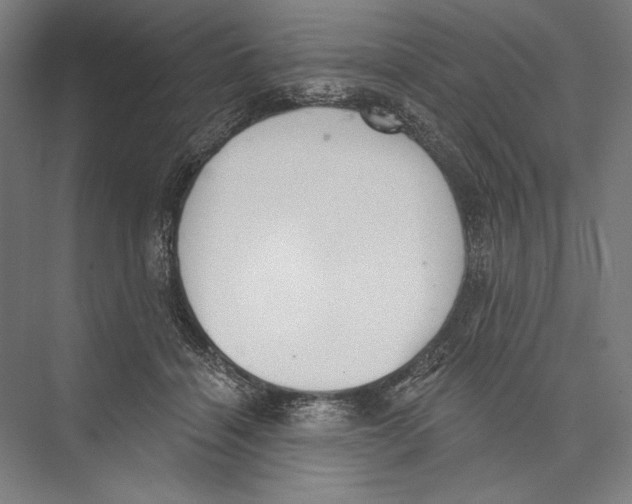 X0000075370460200610061817