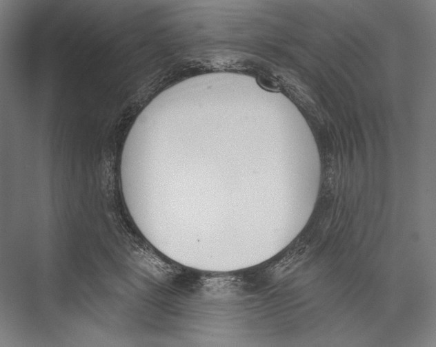 X0000075370461200610061817