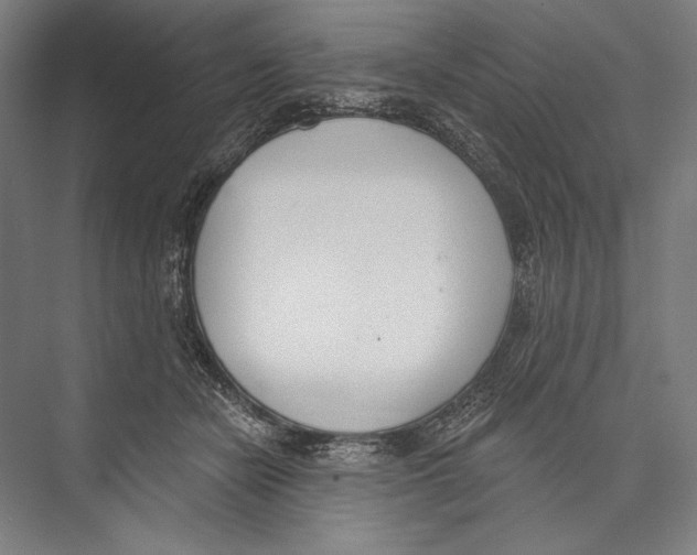 X0000075370462200610061817