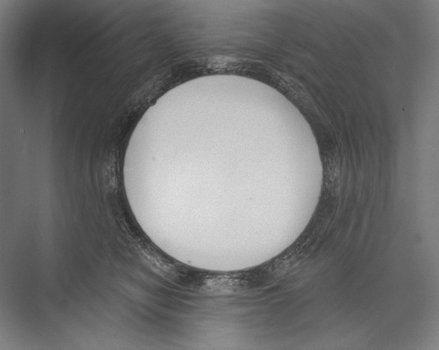 X0000075370470200610061817