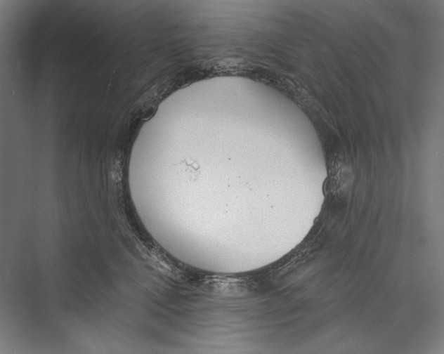 X0000075370472200610061817