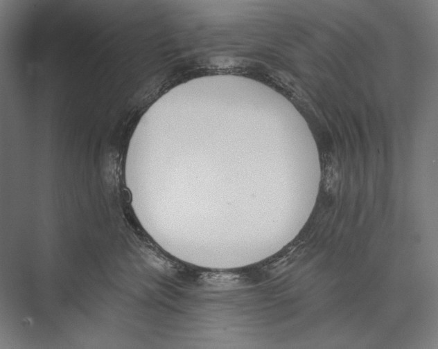 X0000075370476200610061817