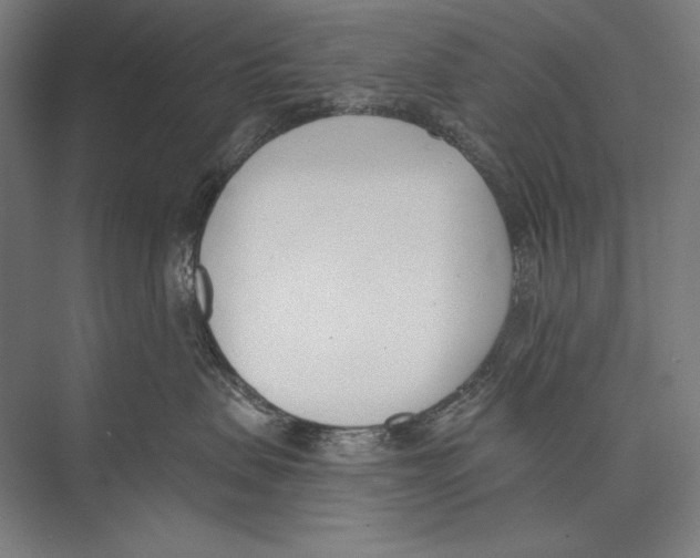 X0000075370479200610061817