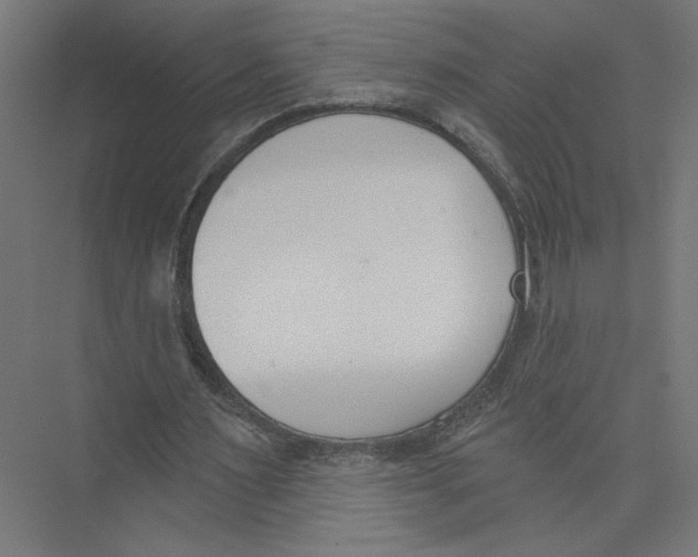 X0000075370483200610061817