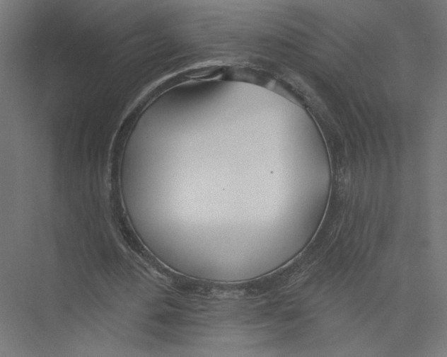 X0000075370484200610061817