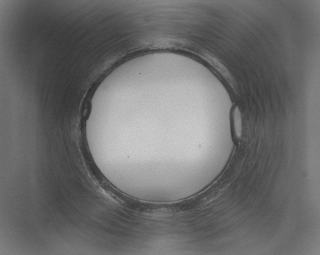 X0000075370485200610061817