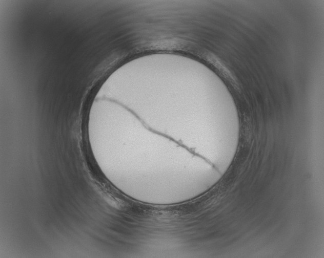 X0000075370486200610061817