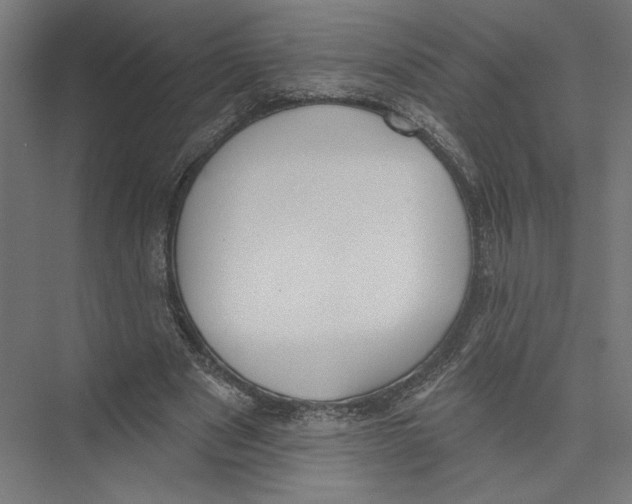 X0000075370489200610061816