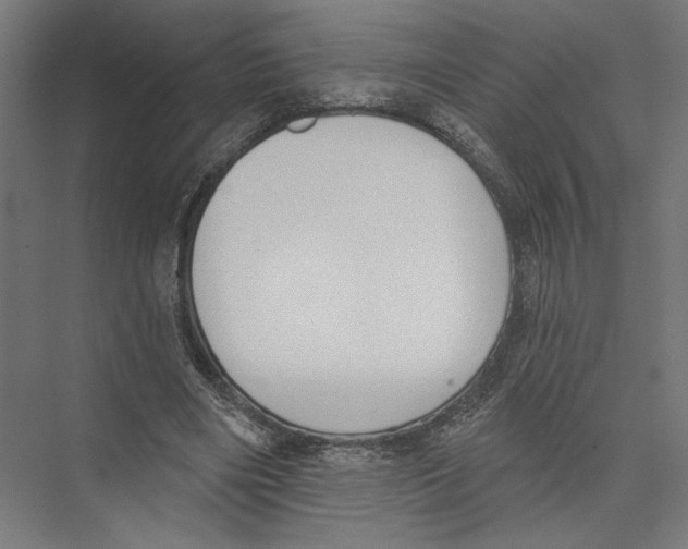 X0000075370490200610061816
